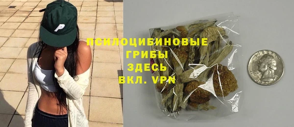 mdpv Киреевск
