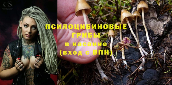 apvp Ессентукская