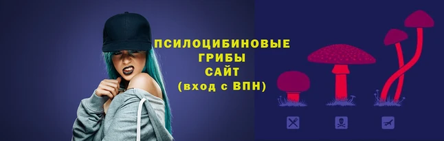 эйфоретик Козельск