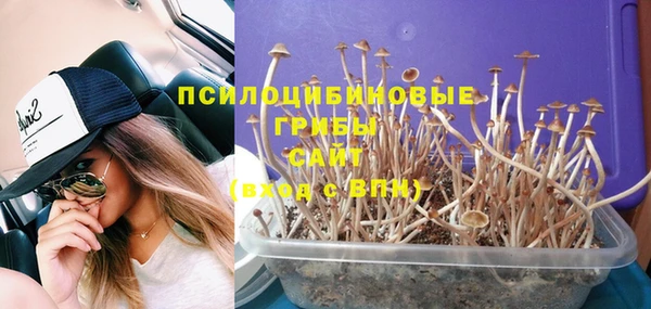 mdpv Киренск