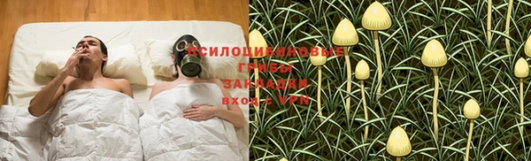 mdpv Киреевск