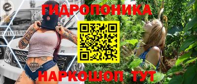 шишки Новокубанск