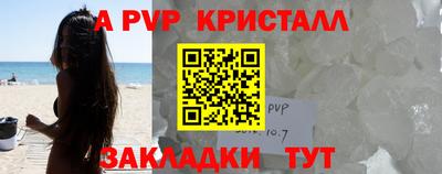 СК Новодвинск