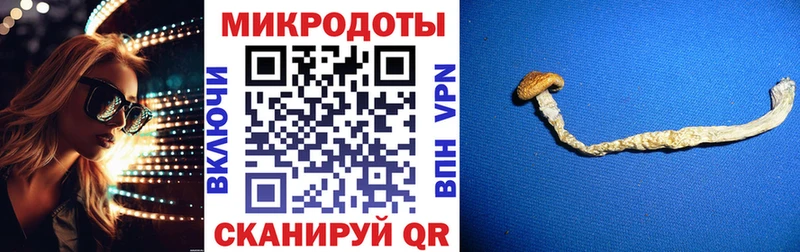 Галлюциногенные грибы Psilocybe  Людиново 