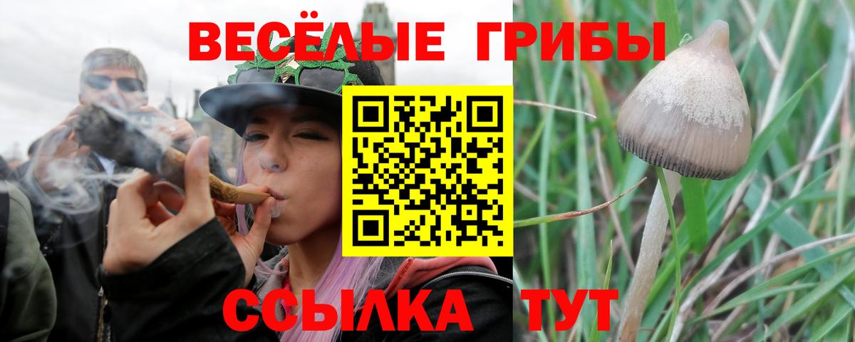 Псилоцибиновые грибы GOLDEN TEACHER Людиново